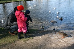 IMG_3482
