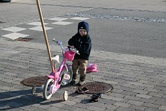 IMG_3600