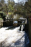 IMG_3906