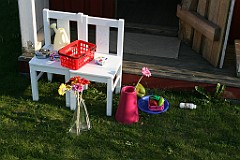 IMG_4242