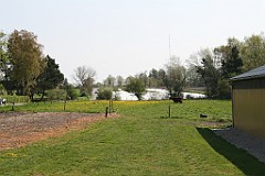 IMG_4263