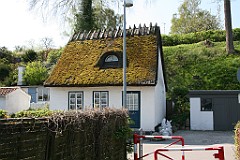 IMG_4270