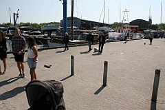 IMG_4275