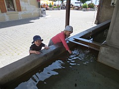 IMG_4131