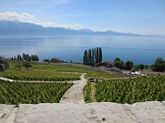 IMG_4150