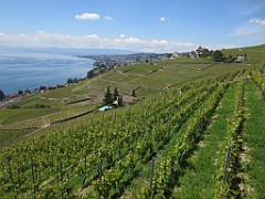 IMG_4177