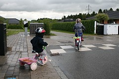 IMG_4428