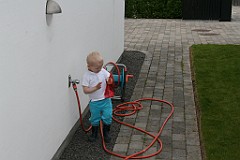 IMG_4959