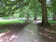 IMG_4215