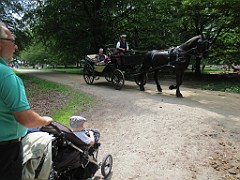 IMG_4217