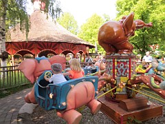 IMG_4233