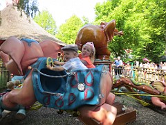 IMG_4235