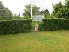 IMG_4236