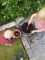 IMG_4311