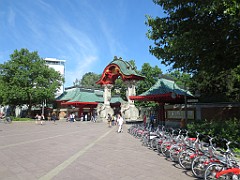 IMG_4589