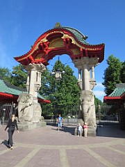 IMG_4592