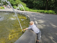 IMG_4606