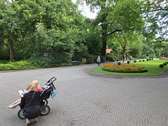 IMG_4611