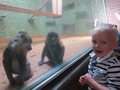 IMG_4614
