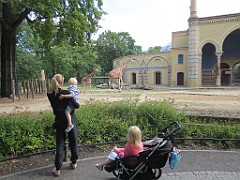 IMG_4621