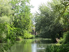 IMG_4629
