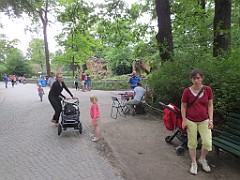 IMG_4650