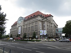 IMG_4695