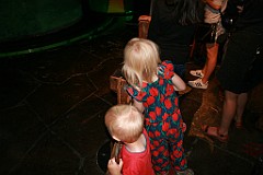 IMG_5168
