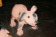 IMG_5169