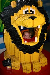 IMG_5207