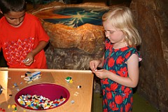 IMG_5208