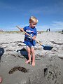 IMG_4731