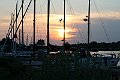 IMG_5487