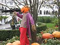 IMG_4894