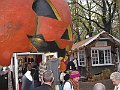 IMG_4910