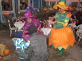 IMG_4917