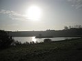 IMG_4956