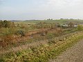 IMG_5004