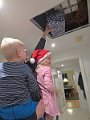 IMG_5269