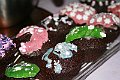 IMG_5818
