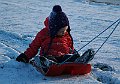 IMG_6006