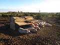 IMG_5279
