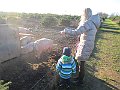 IMG_5281