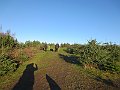 IMG_5303