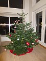 IMG_5324