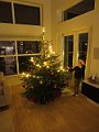 IMG_5331