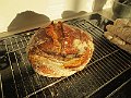 IMG_5360