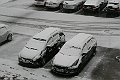 IMG_6810