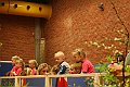 IMG_6879