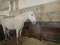 IMG_5612
